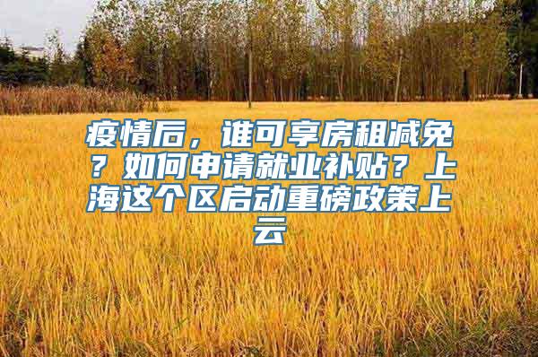 疫情后，谁可享房租减免？如何申请就业补贴？上海这个区启动重磅政策上云