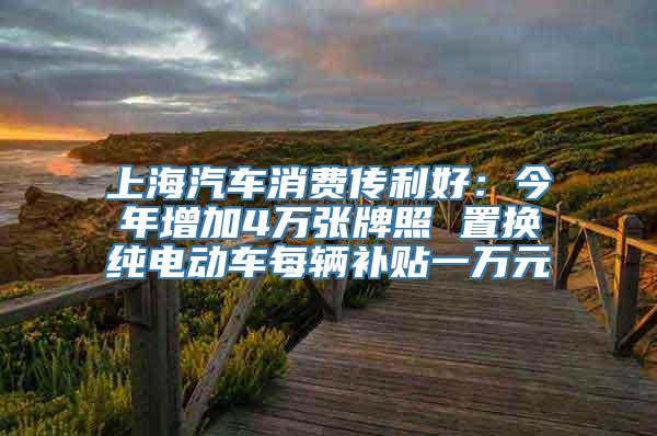 上海汽车消费传利好：今年增加4万张牌照 置换纯电动车每辆补贴一万元