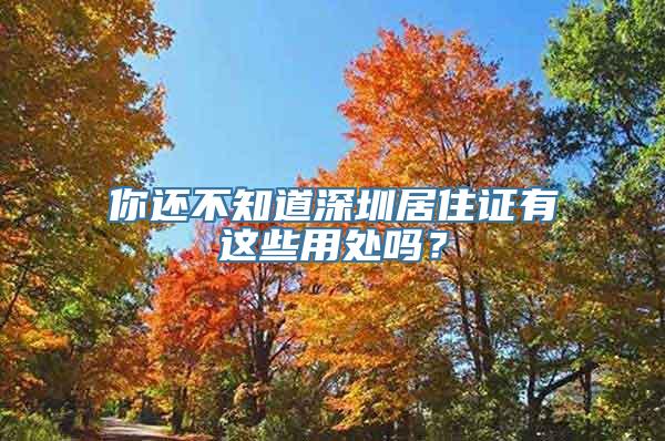 你还不知道深圳居住证有这些用处吗？