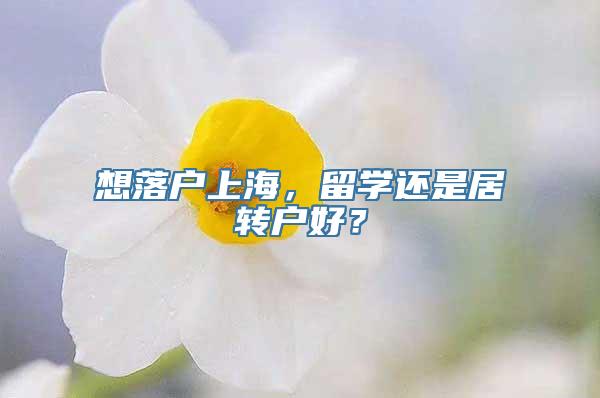 想落户上海，留学还是居转户好？