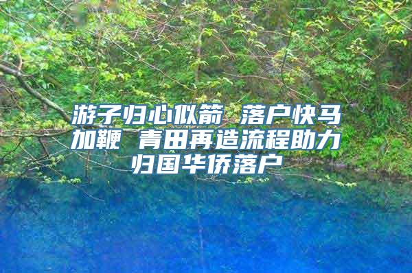 游子归心似箭 落户快马加鞭 青田再造流程助力归国华侨落户