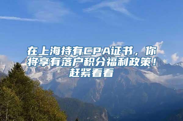 在上海持有CPA证书，你将享有落户积分福利政策！赶紧看看