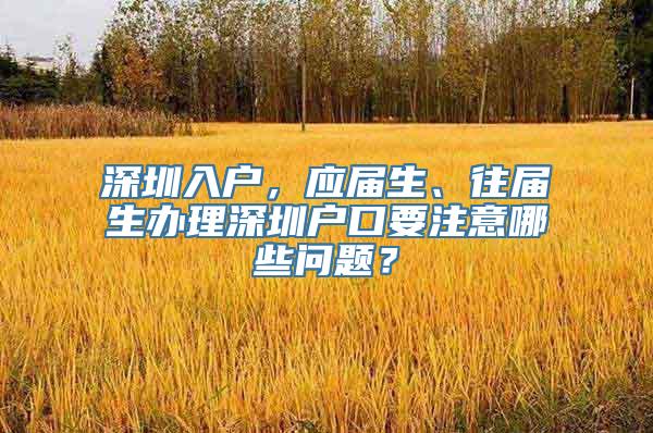 深圳入户，应届生、往届生办理深圳户口要注意哪些问题？