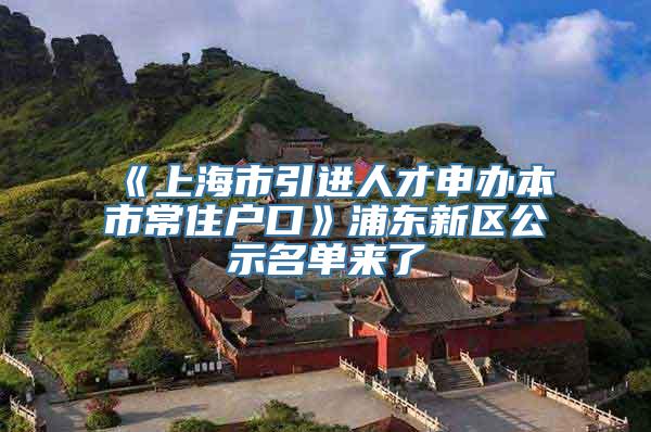 《上海市引进人才申办本市常住户口》浦东新区公示名单来了