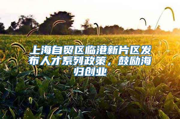 上海自贸区临港新片区发布人才系列政策，鼓励海归创业