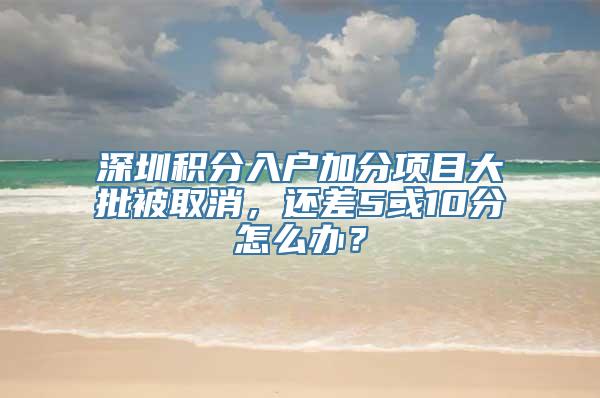 深圳积分入户加分项目大批被取消，还差5或10分怎么办？