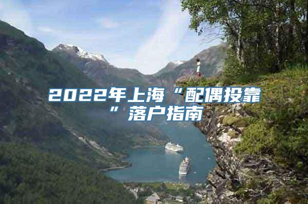 2022年上海“配偶投靠”落户指南