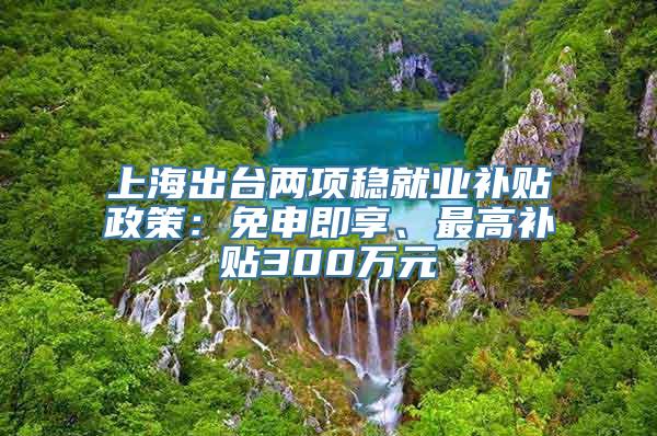 上海出台两项稳就业补贴政策：免申即享、最高补贴300万元