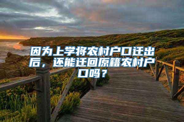 因为上学将农村户口迁出后，还能迁回原籍农村户口吗？