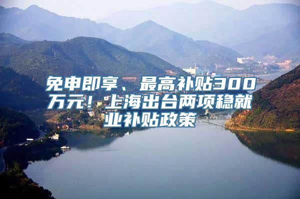 免申即享、最高补贴300万元！上海出台两项稳就业补贴政策