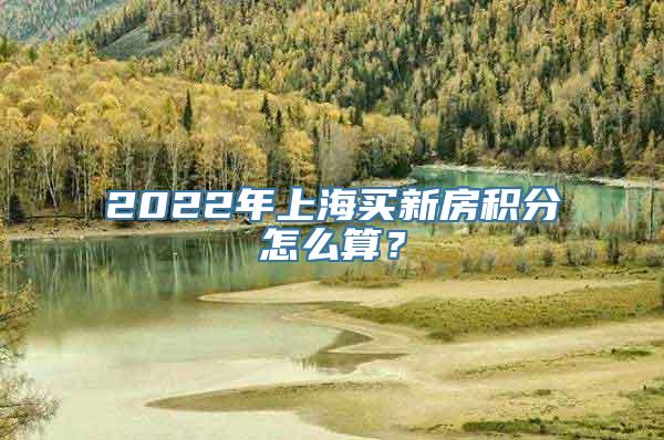 2022年上海买新房积分怎么算？