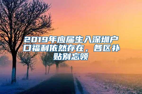 2019年应届生入深圳户口福利依然存在，各区补贴别忘领