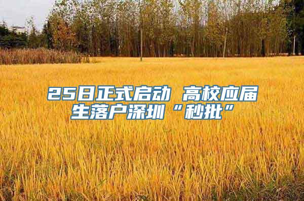 25日正式启动 高校应届生落户深圳“秒批”