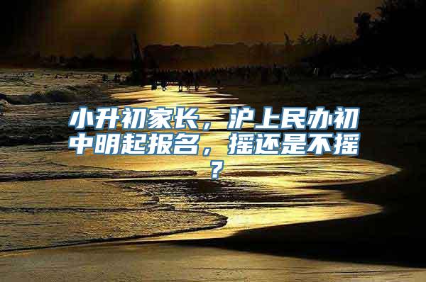 小升初家长，沪上民办初中明起报名，摇还是不摇？