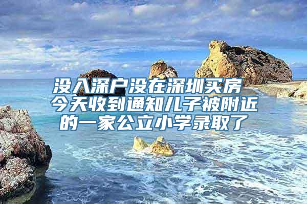 没入深户没在深圳买房 今天收到通知儿子被附近的一家公立小学录取了