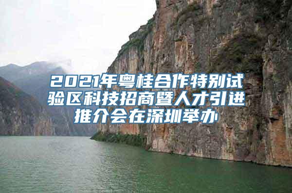 2021年粤桂合作特别试验区科技招商暨人才引进推介会在深圳举办