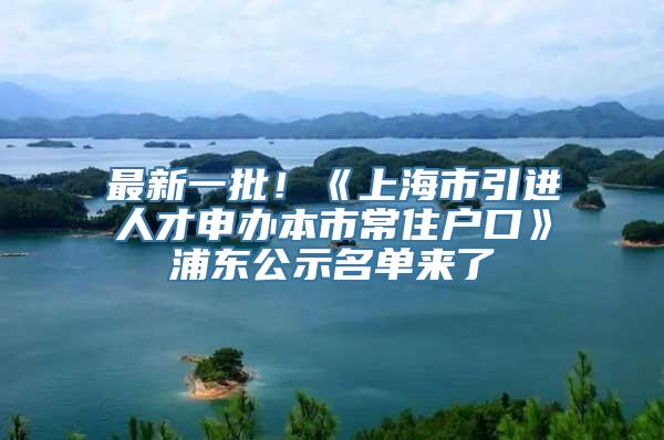 最新一批！《上海市引进人才申办本市常住户口》浦东公示名单来了