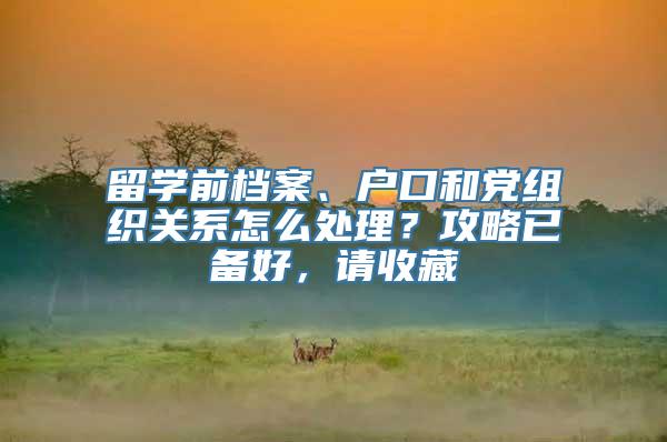 留学前档案、户口和党组织关系怎么处理？攻略已备好，请收藏