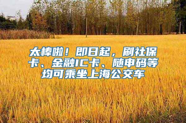 太棒啦！即日起，刷社保卡、金融IC卡、随申码等均可乘坐上海公交车