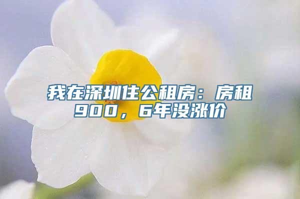 我在深圳住公租房：房租900，6年没涨价