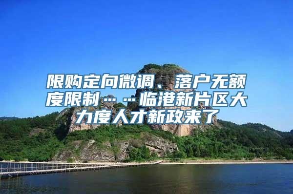 限购定向微调、落户无额度限制……临港新片区大力度人才新政来了