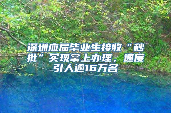 深圳应届毕业生接收“秒批”实现掌上办理，速度引人逾16万名