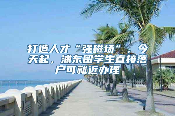 打造人才“强磁场”，今天起，浦东留学生直接落户可就近办理