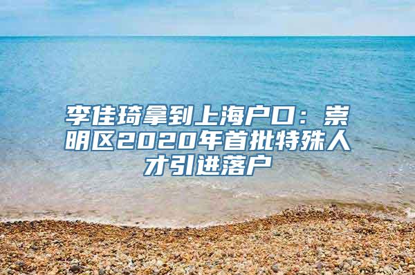 李佳琦拿到上海户口：崇明区2020年首批特殊人才引进落户