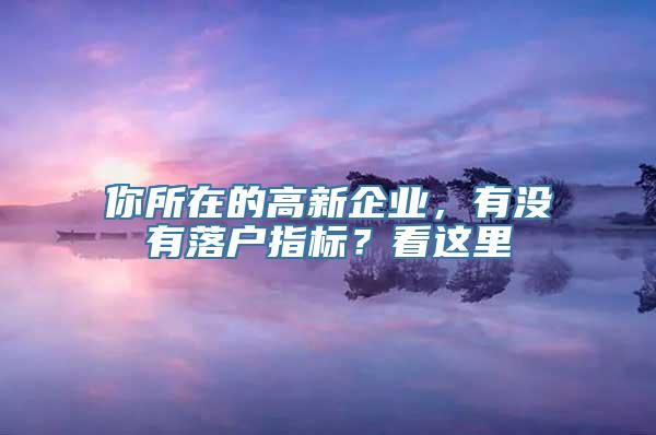 你所在的高新企业，有没有落户指标？看这里