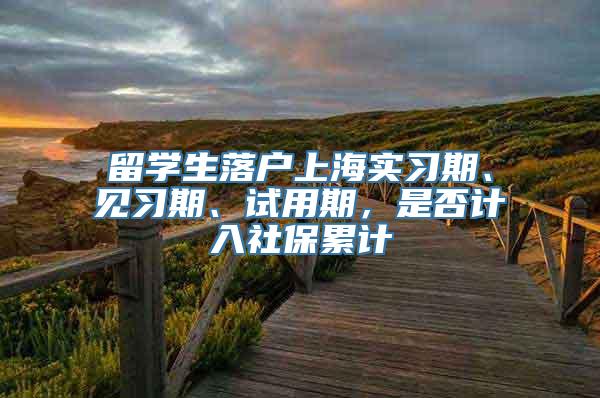 留学生落户上海实习期、见习期、试用期，是否计入社保累计