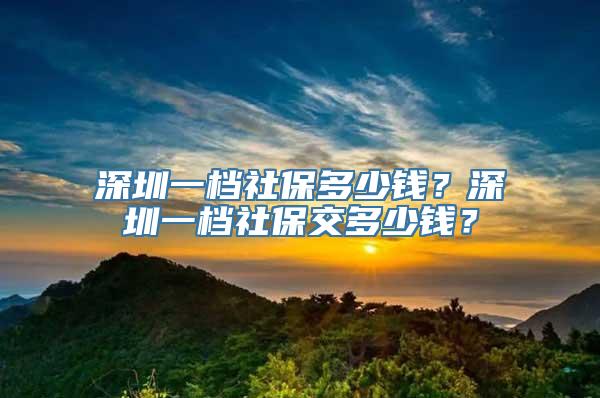 深圳一档社保多少钱？深圳一档社保交多少钱？