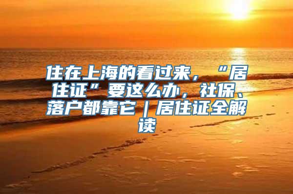 住在上海的看过来，“居住证”要这么办，社保、落户都靠它｜居住证全解读