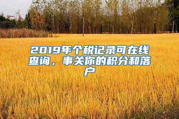 2019年个税记录可在线查询，事关你的积分和落户