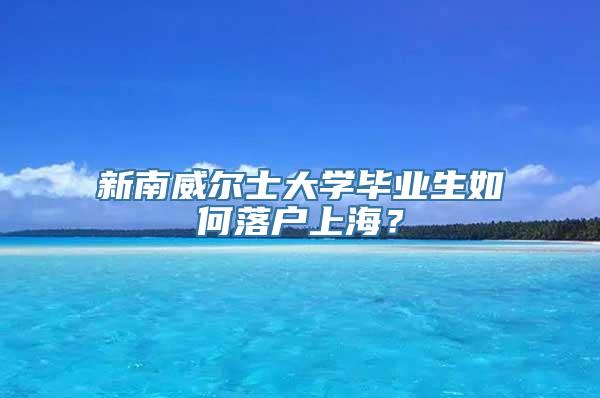 新南威尔士大学毕业生如何落户上海？