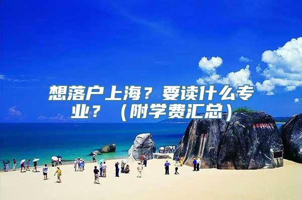 想落户上海？要读什么专业？（附学费汇总）