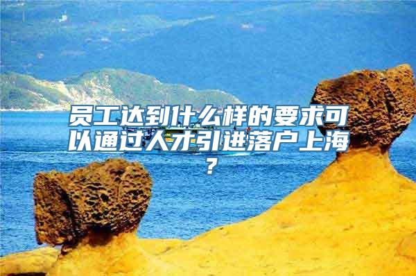 员工达到什么样的要求可以通过人才引进落户上海？