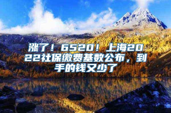 涨了！6520！上海2022社保缴费基数公布，到手的钱又少了