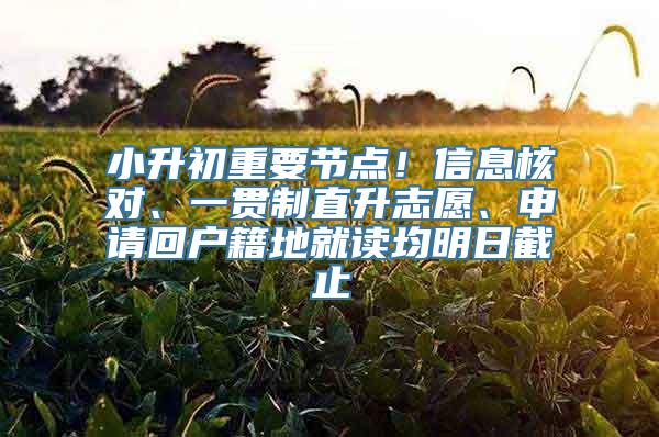 小升初重要节点！信息核对、一贯制直升志愿、申请回户籍地就读均明日截止