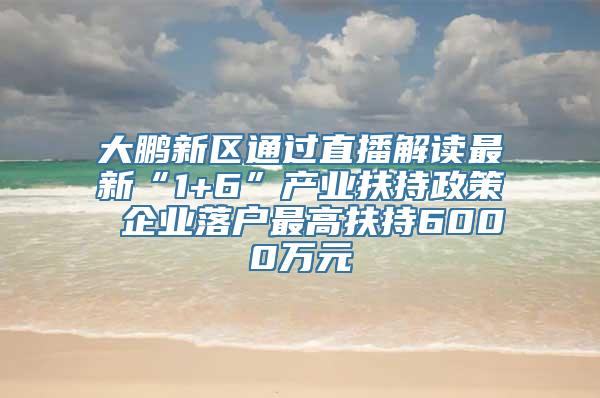 大鹏新区通过直播解读最新“1+6”产业扶持政策 企业落户最高扶持6000万元