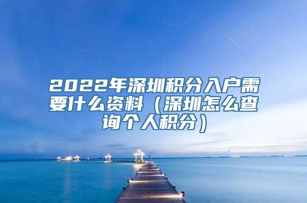 2022年深圳积分入户需要什么资料（深圳怎么查询个人积分）