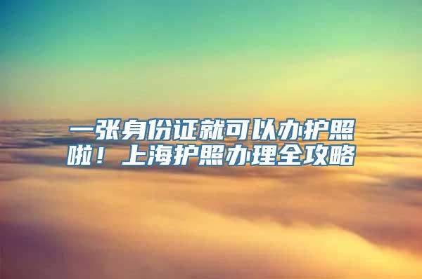 一张身份证就可以办护照啦！上海护照办理全攻略