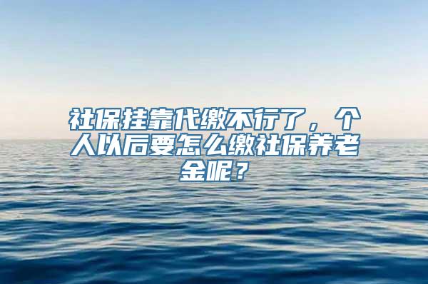 社保挂靠代缴不行了，个人以后要怎么缴社保养老金呢？