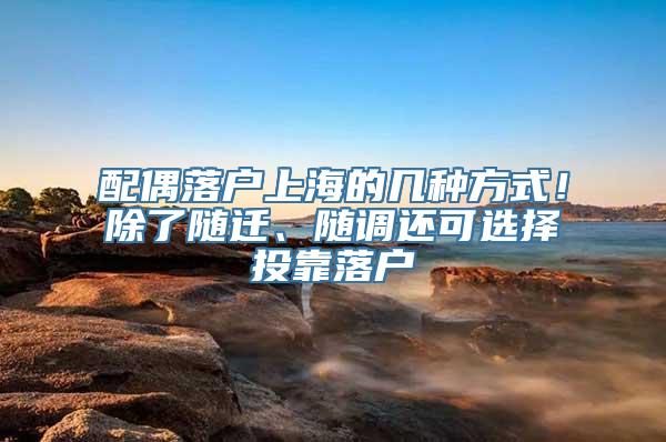 配偶落户上海的几种方式！除了随迁、随调还可选择投靠落户