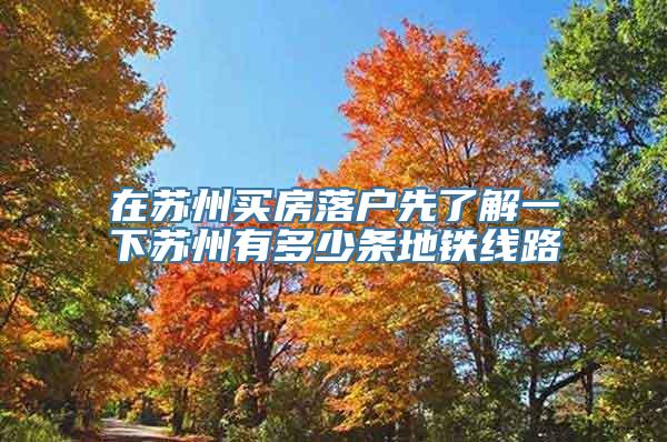 在苏州买房落户先了解一下苏州有多少条地铁线路