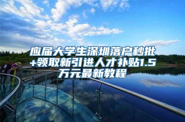 应届大学生深圳落户秒批+领取新引进人才补贴1.5万元最新教程