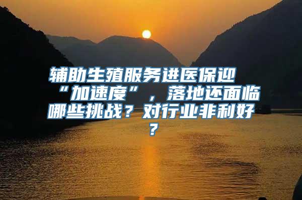 辅助生殖服务进医保迎“加速度”，落地还面临哪些挑战？对行业非利好？