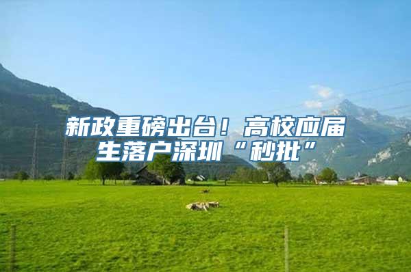 新政重磅出台！高校应届生落户深圳“秒批”