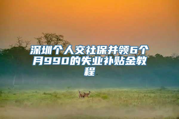 深圳个人交社保并领6个月990的失业补贴金教程