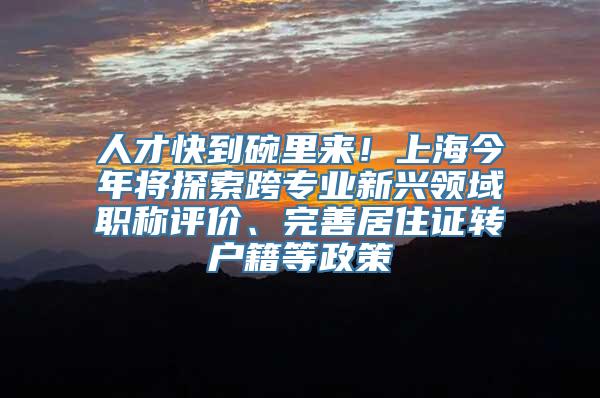 人才快到碗里来！上海今年将探索跨专业新兴领域职称评价、完善居住证转户籍等政策