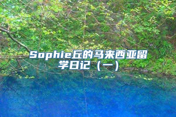 Sophie丘的马来西亚留学日记（一）